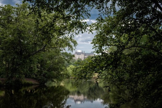 z_DSC2898_biltmore_trees