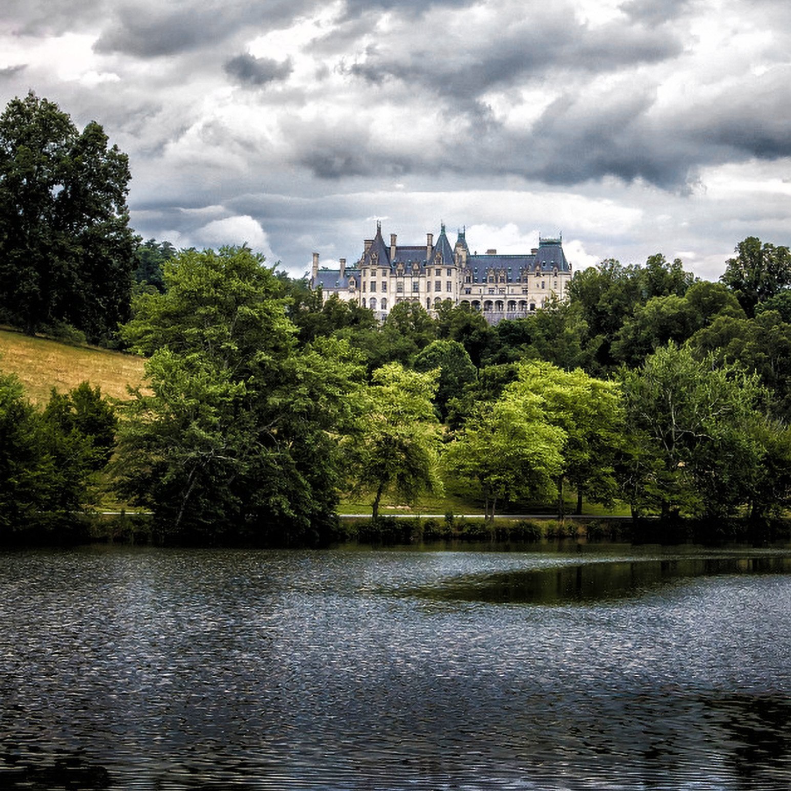 z_dsc2906_5x5_biltmoreest_2
